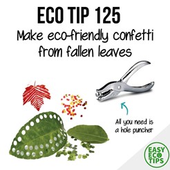 eco friendly wedding ideas